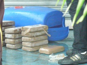 fish-market-drugs