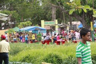 Attendace at the 2012 David Fair has fallen by close to 20% compared to last year.