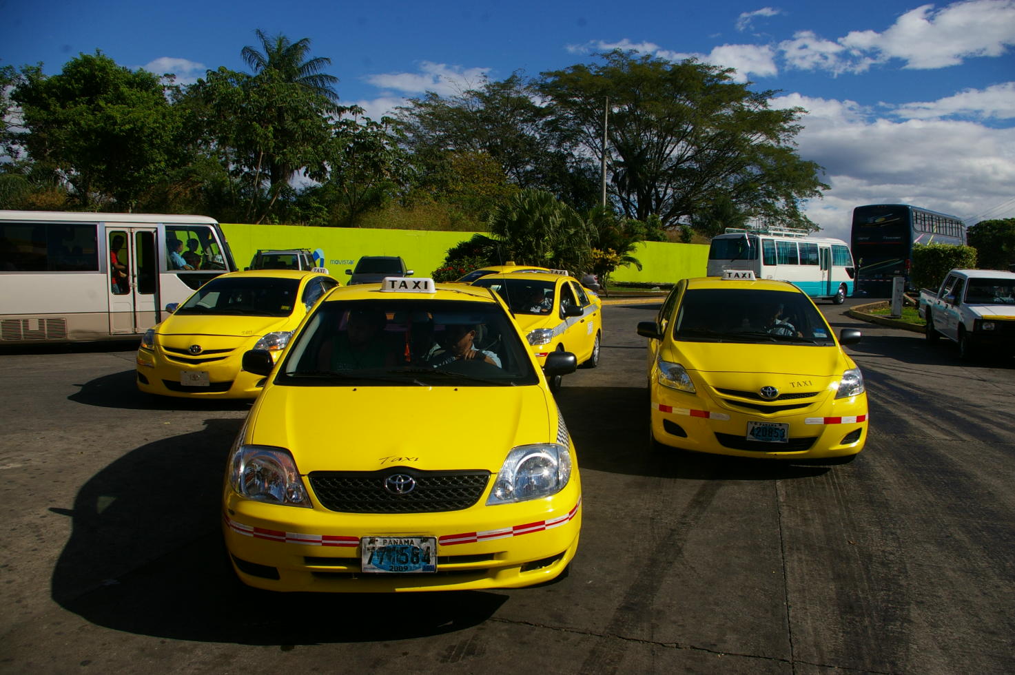 Taxi let s go. Разноцветное такси. Такси в Индии. Такси в новой Зеландии. Кэбби такси.